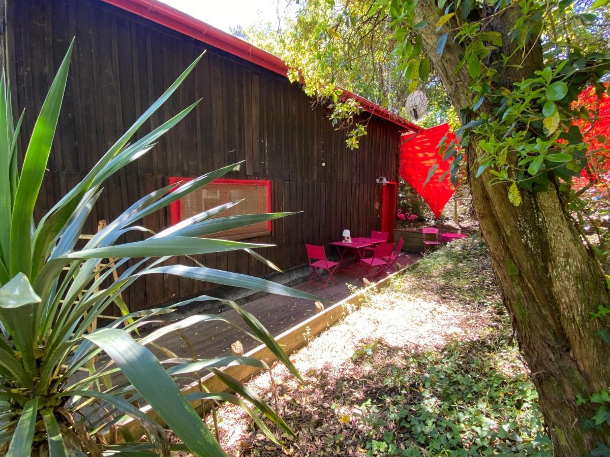 Le Loft Au-Dessus Des Pins Apartman Lacanau Kültér fotó