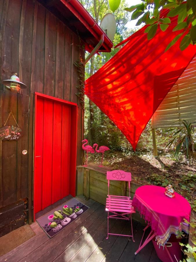Le Loft Au-Dessus Des Pins Apartman Lacanau Kültér fotó
