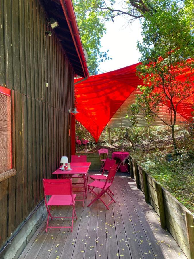 Le Loft Au-Dessus Des Pins Apartman Lacanau Kültér fotó